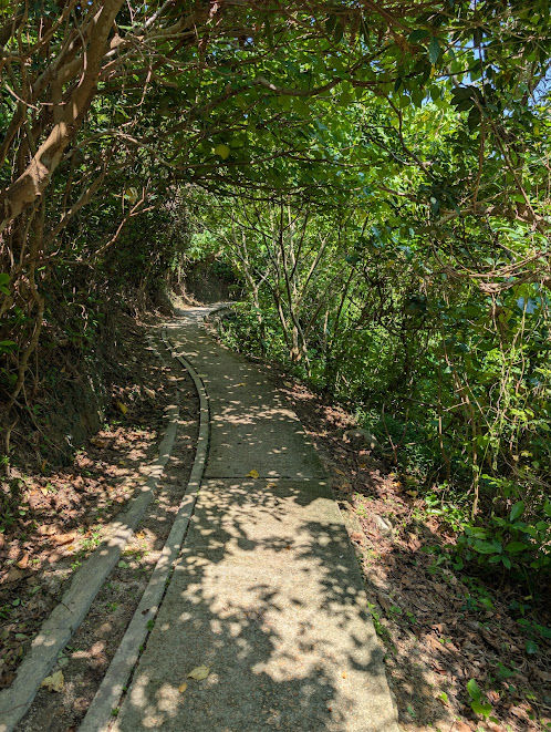 the path disappearing into the distance