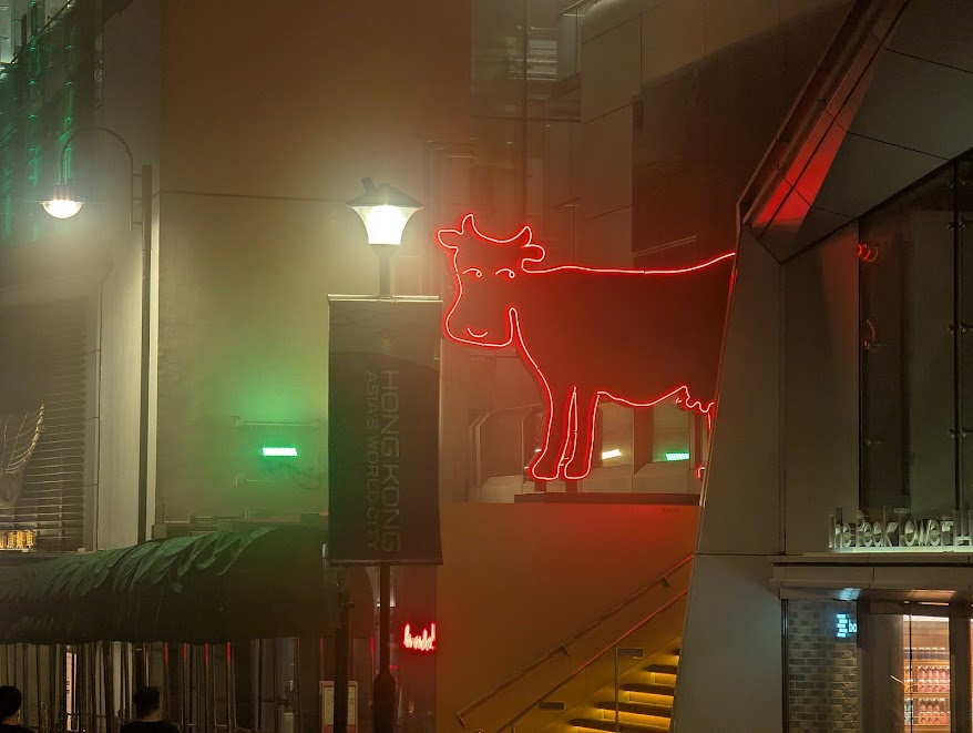 Cow at Victoria Peak